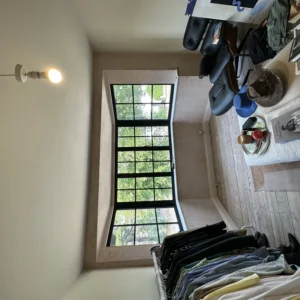 Black aluminium Crittall-style window with garden view, London