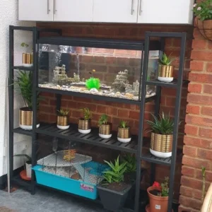 Conservatory interior with polycarbonate roof, London