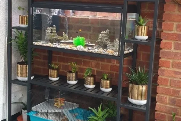 Conservatory interior with polycarbonate roof, London