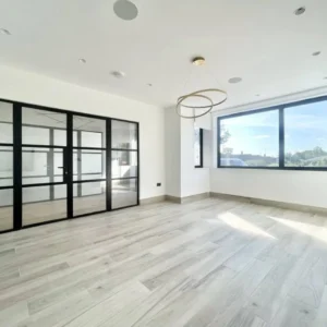 Black Crittall glass partition doors in London room