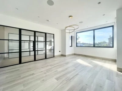 Black Crittall glass partition doors in London room