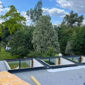 Three black-framed rooflights on London garden room roof